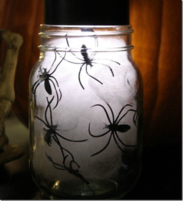 Spiders in Mason Jars
