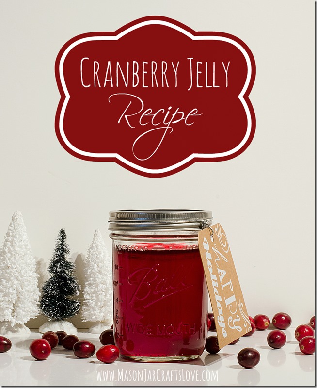cranberry-jelly-recipe-mason-jar-crafts-love-blog