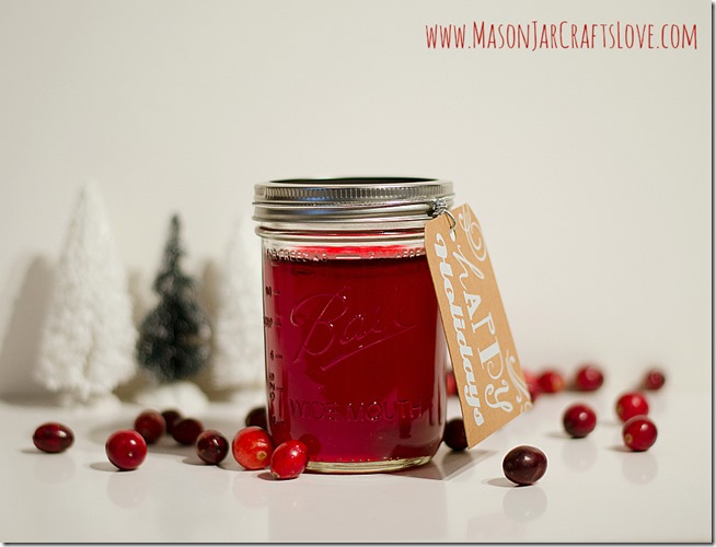 cranberry-jelly-recipe-mason-jar-crafts-love
