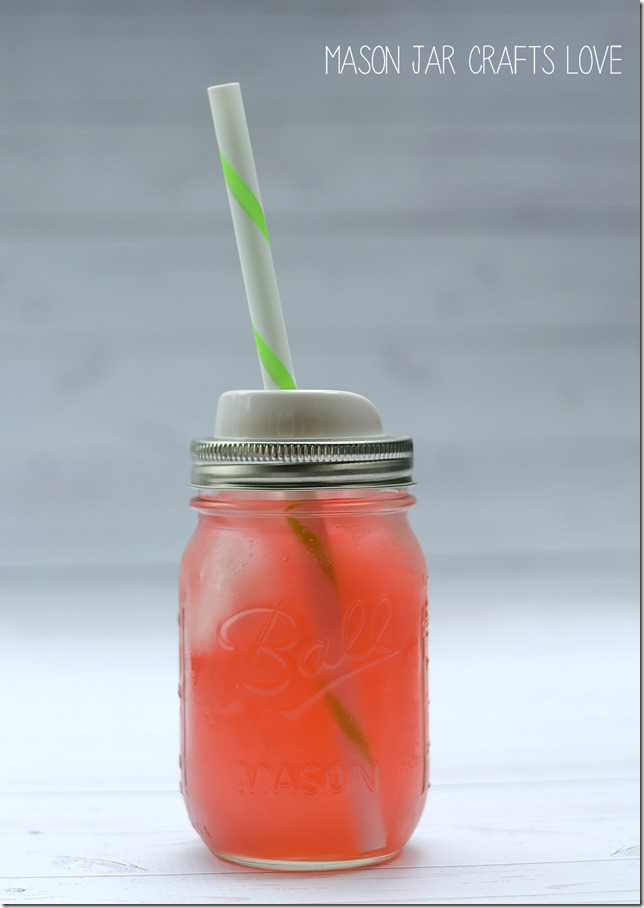 mason-jar-sippy-cup-with-straw 2