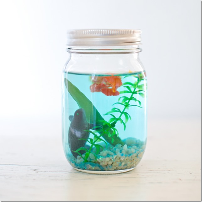 mason-jar-aquarium-hello-wonderful