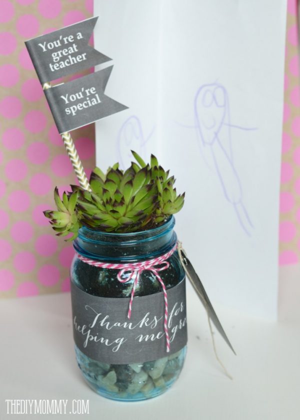Teacher Gift Mason Jar Succulent Planter - Homemade Teacher Gifts with Mason Jars