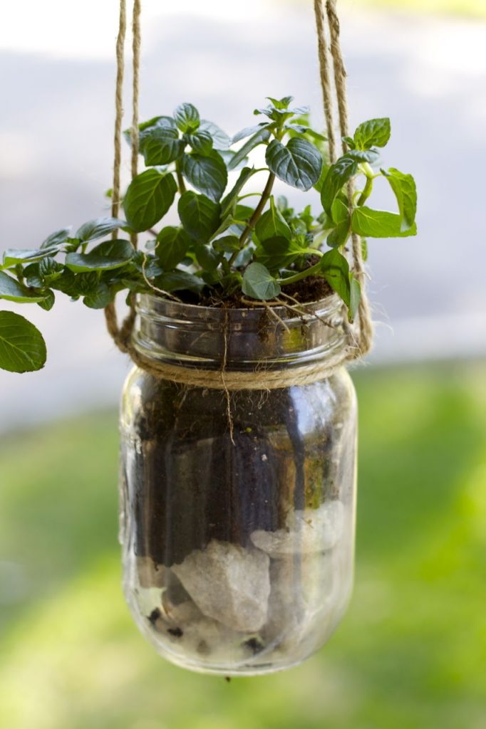 Mason Jar Hanging Herb Planter
