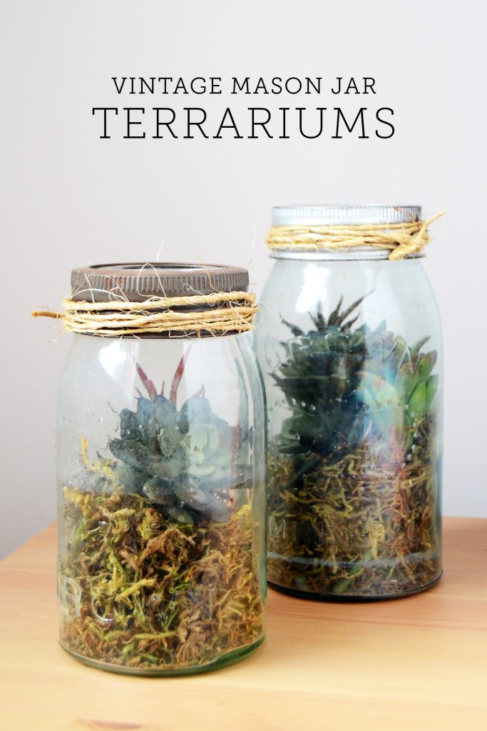 mason jar terrarium - how to make a mason jar terrarium