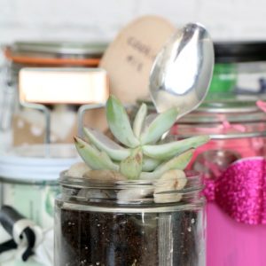 Mason Jar Christmas Gift Ideas