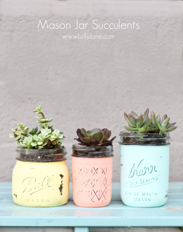 mason jar painted succulent planters - mason jar planters