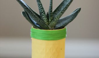 Mason Jar Pineapple Planter - Painted Mason Jar Planter - Mason Jar Planter