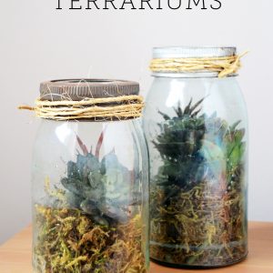 Mason Jar Terrarium - Mason Jar Planter