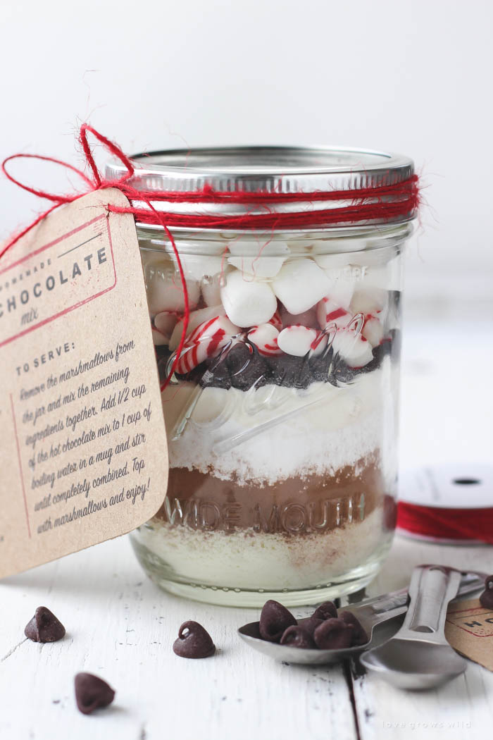 Homemade peppermint hot chocolate mix in mason jar giHoliday foods in mason jars. Mason jar gift ideas with food and recipes. Recipes in mason jars. Holiday gift ideas with mason jars. Hot chocolate in mason jars. Recipes in mason jars.ft idea. 