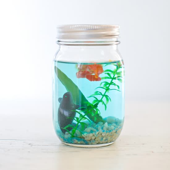 Mason Jar Aquarium. Summer Mason Jar Crafts. Kid's Craft for Summer with Mason Jars. Coastal Mason Jar Ideas. Painted Mason Jars for Summer. Mason Jar Planters. Twine Wrapped Mason Jar Crafts. Firefly Mason Jars. Mason Jar Votives for Summer.