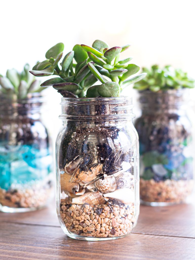 Mason Jar Planters. Succulent, Seashell and Sea Glass Mason Jar Terrarium. Summer Mason Jar Crafts. Kid's Craft for Summer with Mason Jars. Coastal Mason Jar Ideas. Painted Mason Jars for Summer. Mason Jar Planters. Twine Wrapped Mason Jar Crafts. Firefly Mason Jars. Mason Jar Votives for Summer.