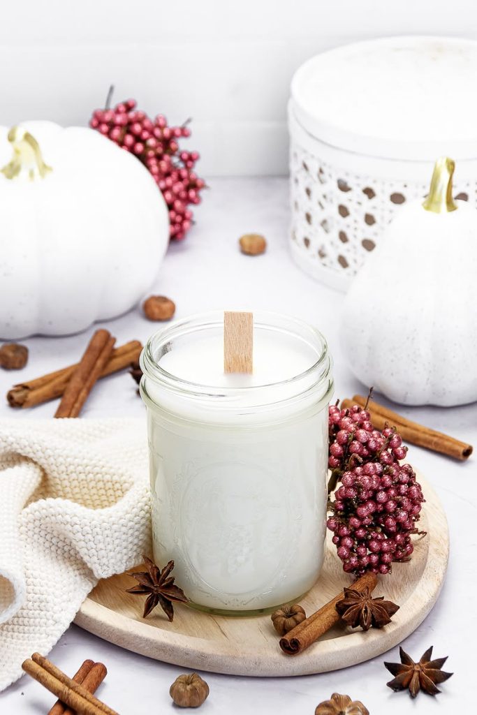 Spiced Pumpkin Latte Mason Jar Candle for Fall. Mason Jar Crafts for Fall. 30+ Craft Idea for Autumn. Crafts for Fall with Mason Jars. Mason Jar Autumn Crafts. Painted Mason Jars for Fall. Mason Jar Votives for Fall. Pumpkin Mason Jar Crafts for Fall.